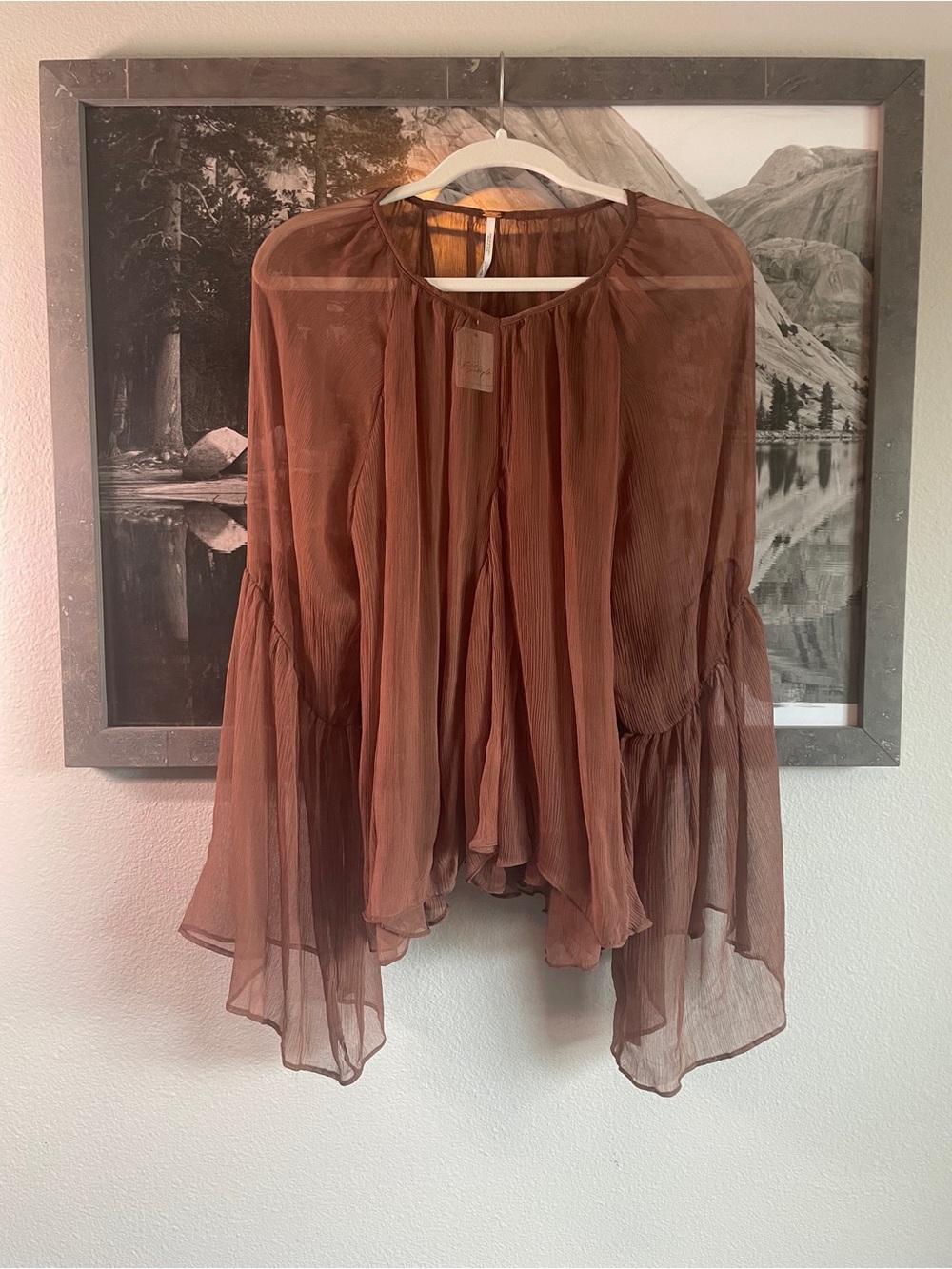 Free People Sheer Boho Blouse - Rust